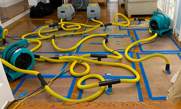 Professional Crawl Space Water Removal technician working in Scotts, MI